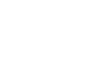 VPG Logo White